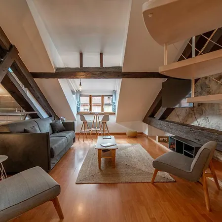 The Authentic Private Triplex Annecy